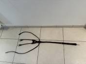 Martingale 