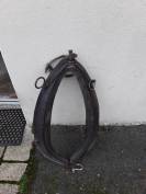 Diverses Cal&egrave;ches et Harnais