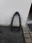 Diverses Cal&egrave;ches et Harnais