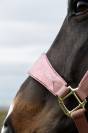 Licol velvet unicorn glitter - Kentucky - velours doux