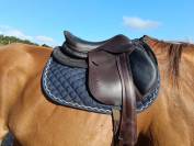 Selle forestier 