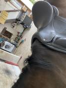 Sella da dressage CWD SE 08  18" - 2013