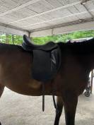 Sella da dressage CWD SE 08  18" - 2013