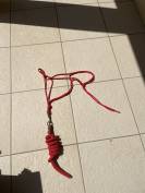 Licol en corde rouge avec longe