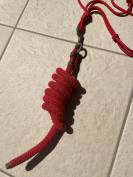 Licol en corde rouge avec longe