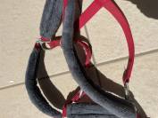 Licol rouge avec moumoute grise