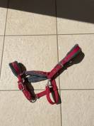 Licol rouge avec moumoute grise