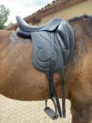 Selle Antares cadence
