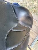 Selle Antares cadence