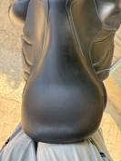 Selle Antares cadence