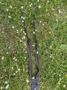 Collier de chasse 