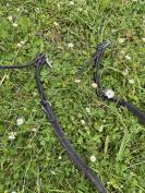 Collier de chasse 