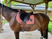 Selle Childeric monoquartier taille 18