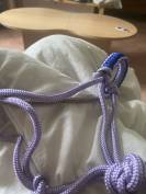 Licol étiologique de haute qualité