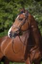 Bridon muserolle française - Riding World - Cuir de buffle
