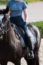 Tapis de selle glossy jewel classic sport - Eskadron - tissu brillant