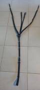 Collier de chasse cuir + martingale amovible 