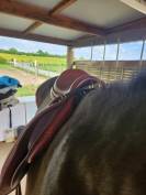 DEVOUCOUX BIARRITZ O 3 AAB Havane