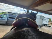 DEVOUCOUX BIARRITZ O 3 AAB Havane