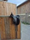 Selle Bates Isabelle Werth