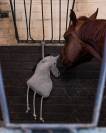 Jouet pour chevaux - qhp - suède et fibre de coco