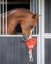 Jouets pour chevaux pomme - QHP - suède et fibre de coco