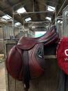 CWD 2Gs 2024 