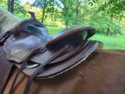 Selle Western Continental
