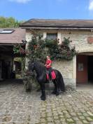 Selle dressage ÉQUIPE WIKTORIA 17,5