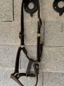 Licol en cuir Marron taille Cheval