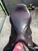 Selle forestier mono quartier 