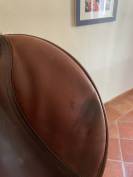 Selle Delgrange Partition 