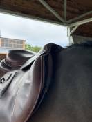 Selle GBS 17,5’’ 2022 