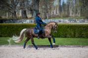 Tapis de selle midnight blue - equestrian stockholm - tissu déperlant