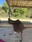 Selle forestier 