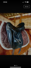 Selle dressage maestoso de luxe 