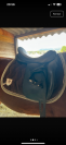 Selle dressage maestoso de luxe 