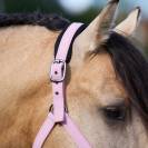 Licol jewel mesh - Imperial riding - élégance et confort