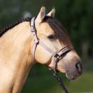 Licol jewel mesh - Imperial riding - élégance et confort