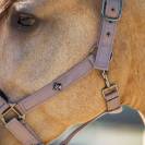 Licol jewel mesh - Imperial riding - élégance et confort