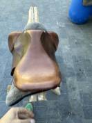 Selle Forestier Junior cognac 15,5 annee 2015
