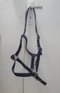 Licol Cheval Marine