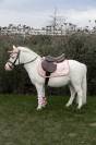Tapis de Selle Licorne Pailleté - Mixte - Kentucky