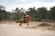 Licol en corde free ride - imperial riding - ethologique