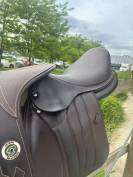 Selle forestier saoul 