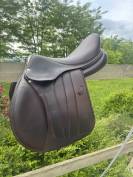 Selle forestier saoul 