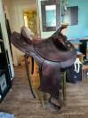 Selle australienne 