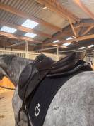 Selle CWD 