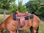 Selle western barnes