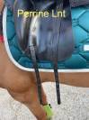 Sella da dressage Prestige Italia  17" - 2014